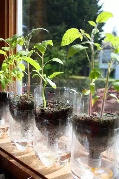 自制便攜收納盒,你家閑置的飲料瓶還能做這些？！