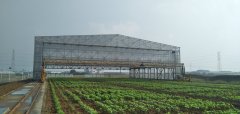 3.12植樹節(jié)，人人參與—靖起起重機(jī)生產(chǎn)廠家